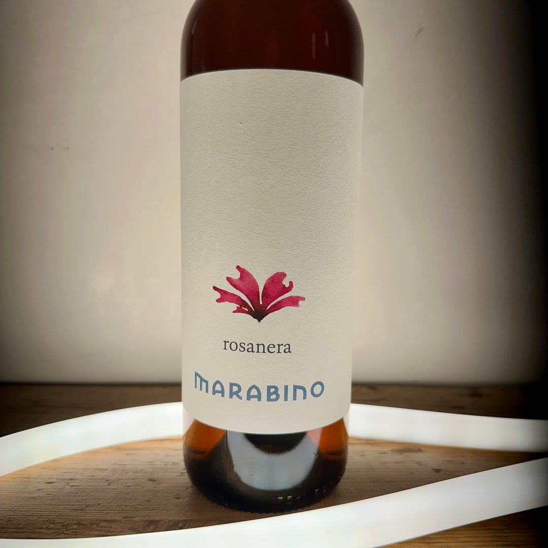 Marabino - Rosa Nera 2023