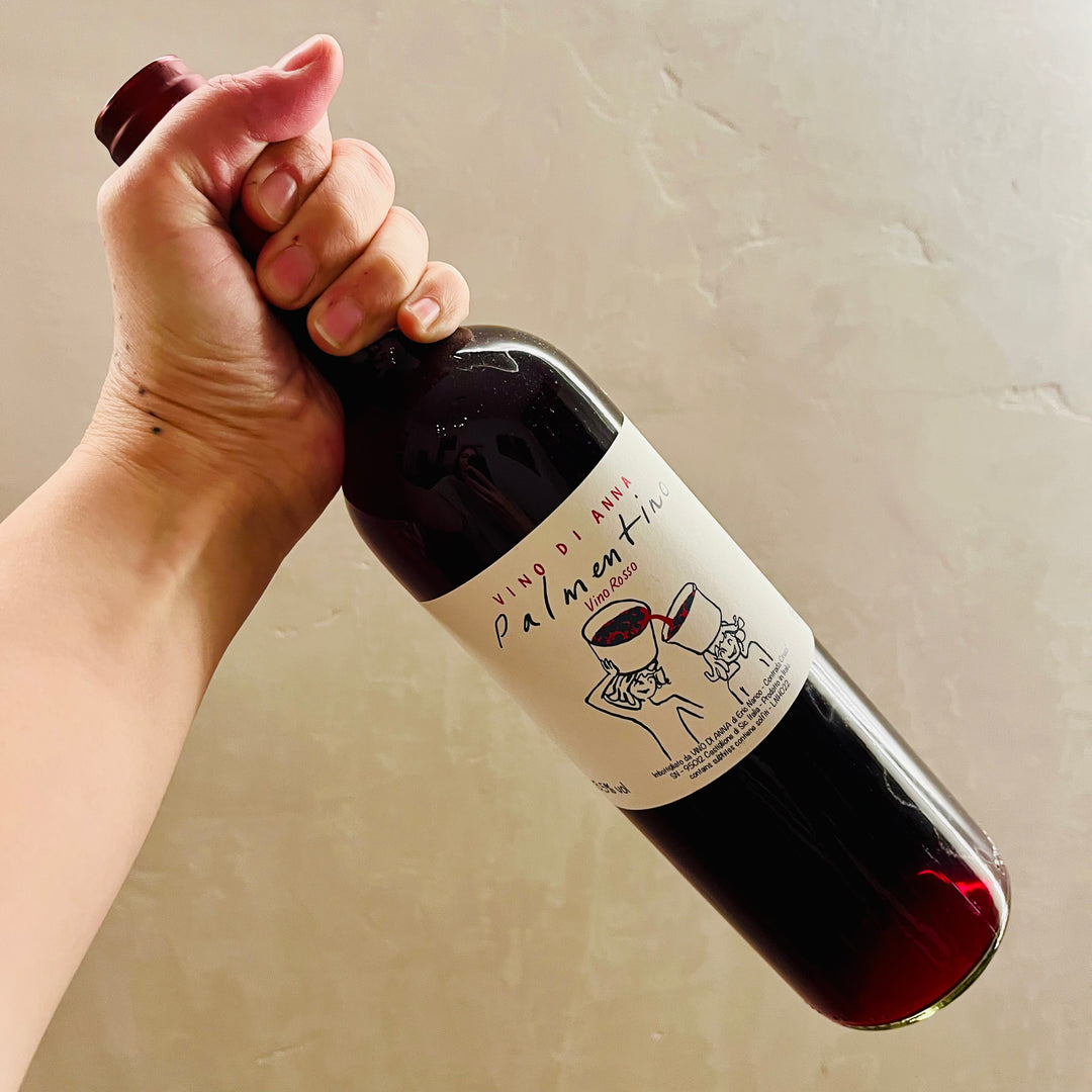 Vino di Anna - Palmentino Rosso 2022