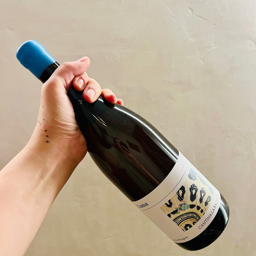 Cantina La Bacheta - Luna 2023