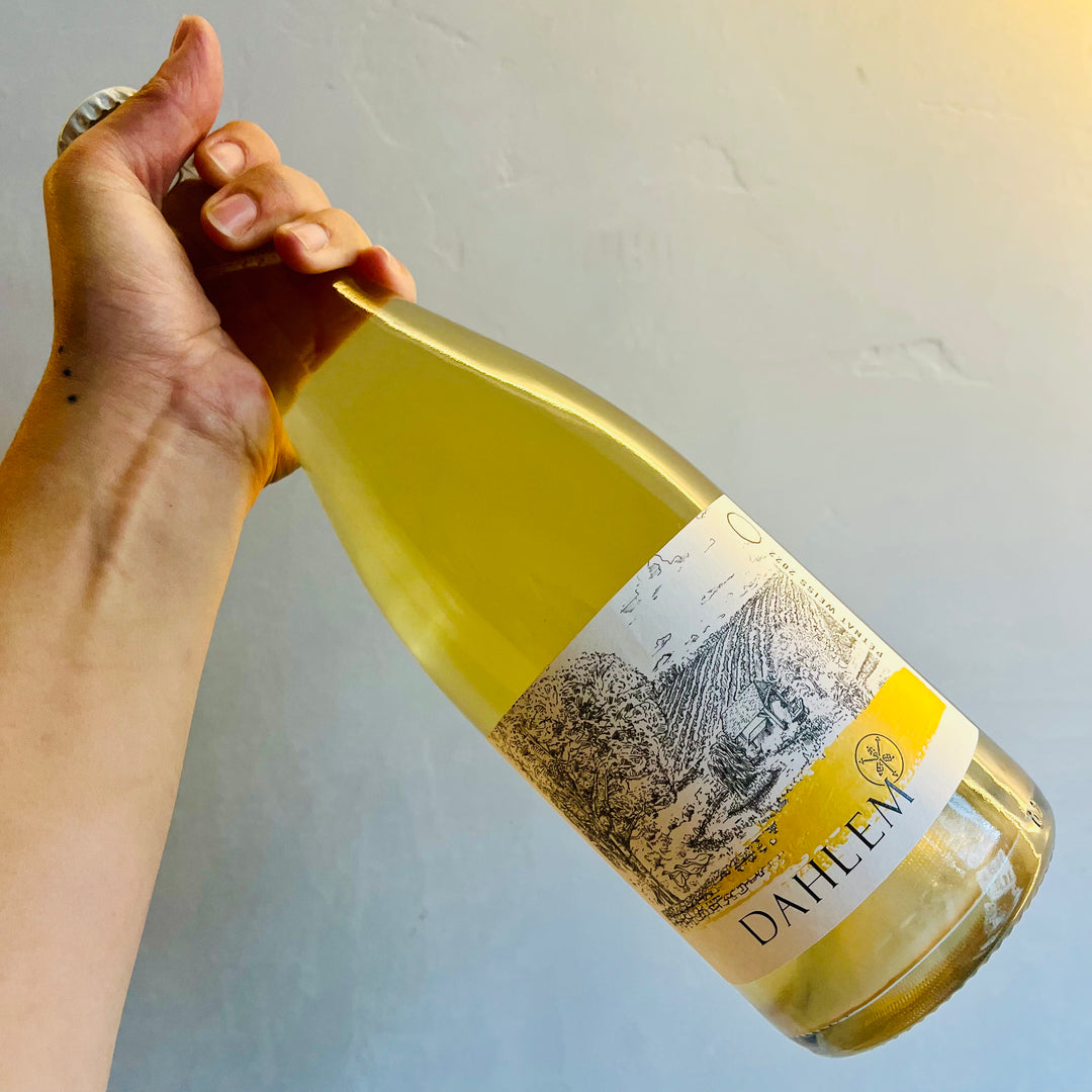 Hofgut Dahlem - PetNat Weiß