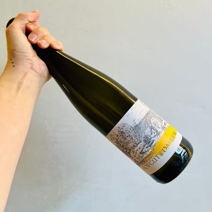 Hofgut Dahlem - Riesling