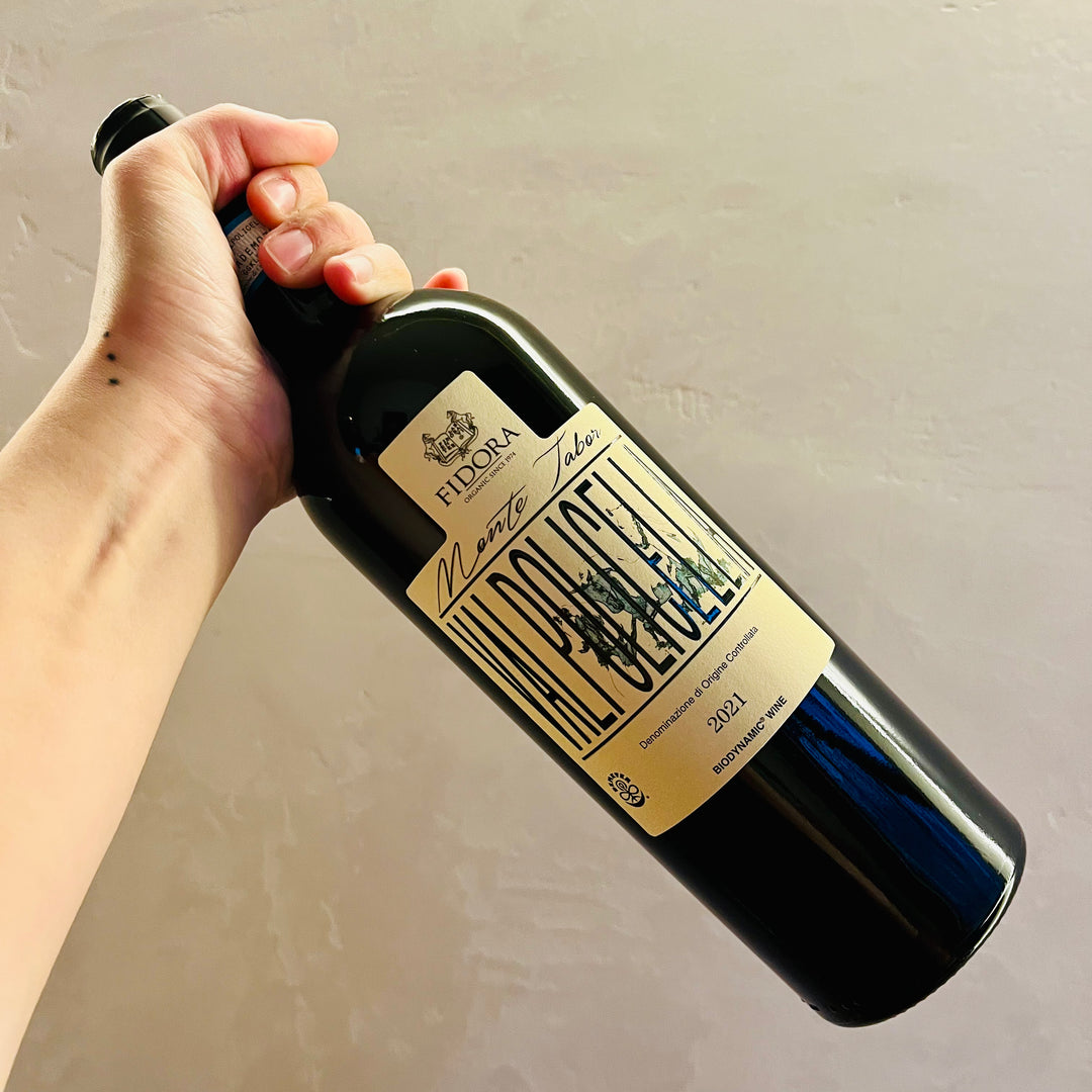 Fidora - Valpolicella 2021