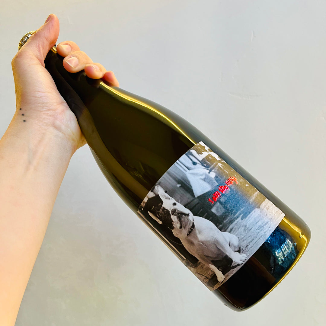 Testalonga - I am the Ninja 2023