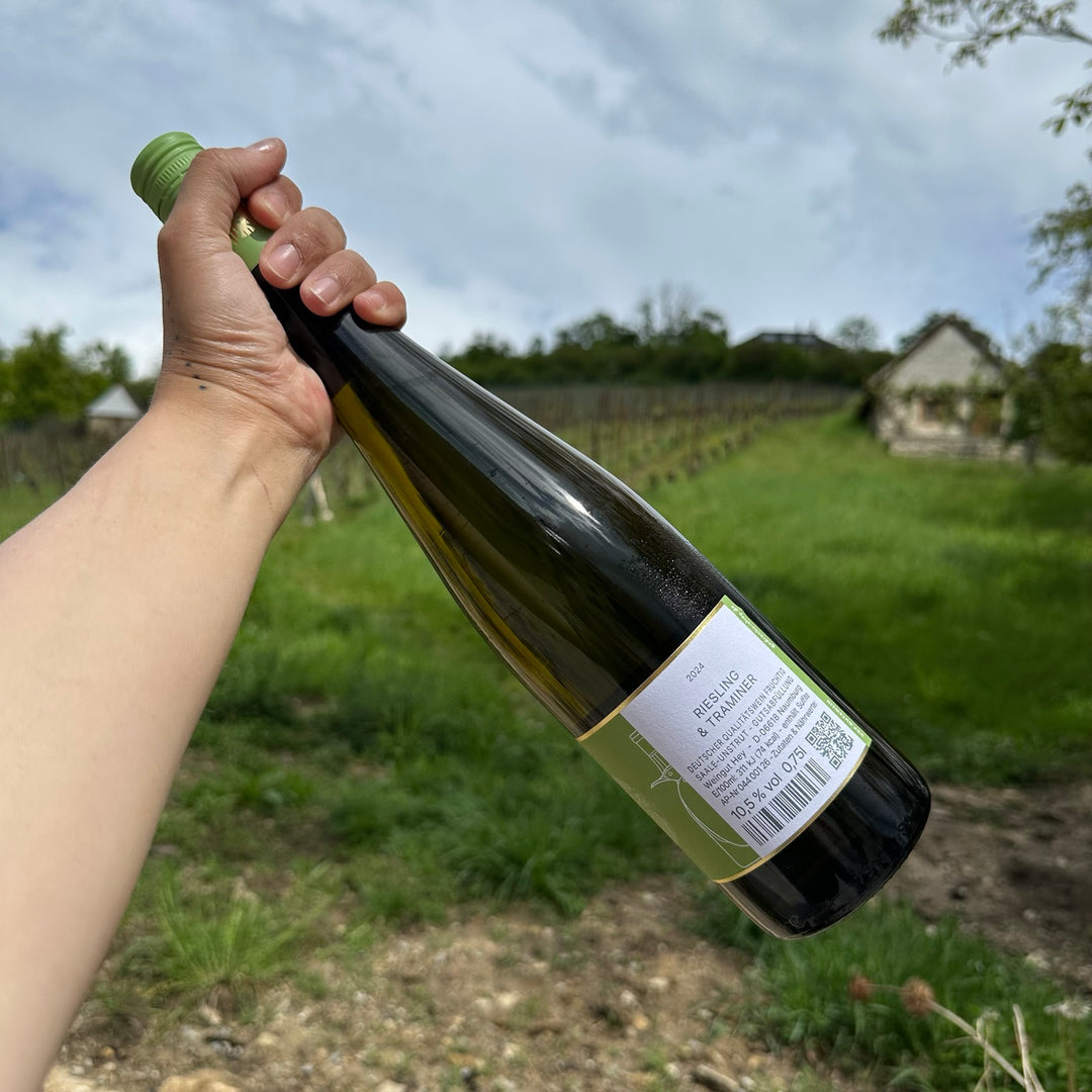 Weingut Hey - "HEY BSG"-Riesling & Traminer 2024