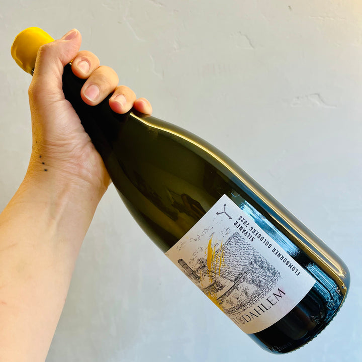 Hofgut Dahlem - Silvaner Flomborner Goldberg 2023