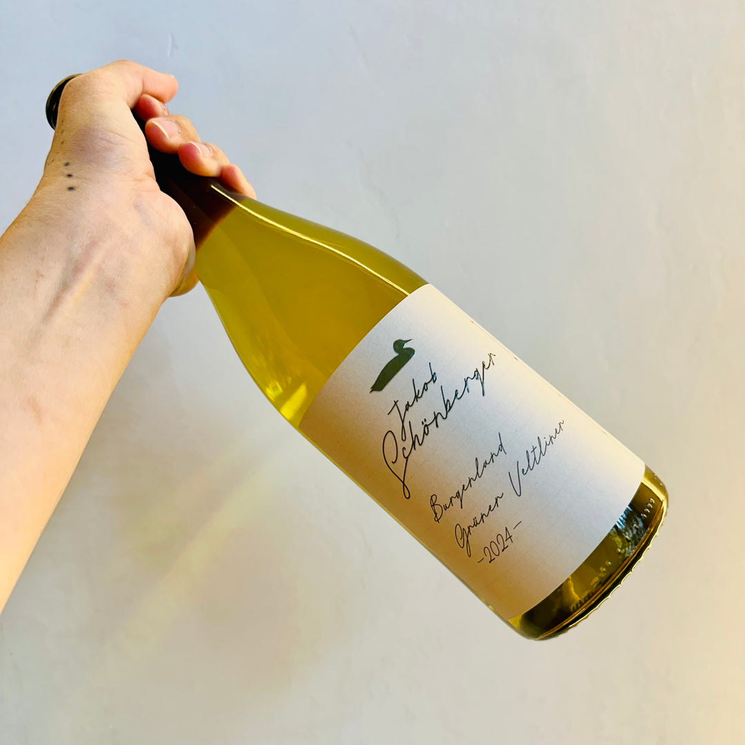 Jakob Schönberger - Burgenland Grüner Veltliner 2023